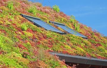 Brackenagh living roof systems